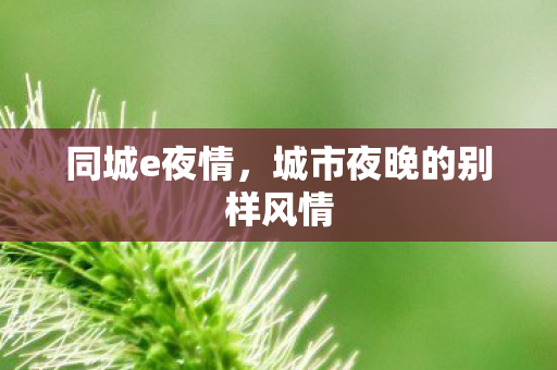 同城e夜情,城市夜晚的别样风情 同城e夜情,城市夜晚的别样风情