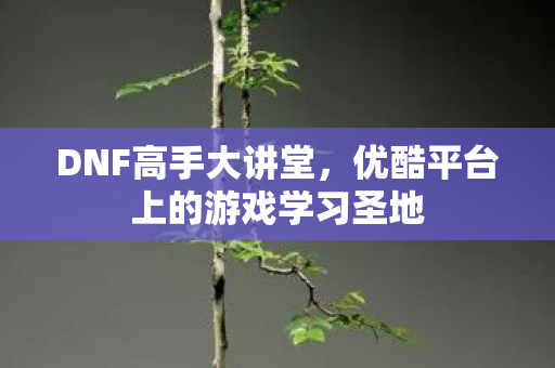 DNF高手大讲堂,优酷平台上的游戏学习圣地 DNF高手大讲堂,优酷平台上的游戏学习圣地