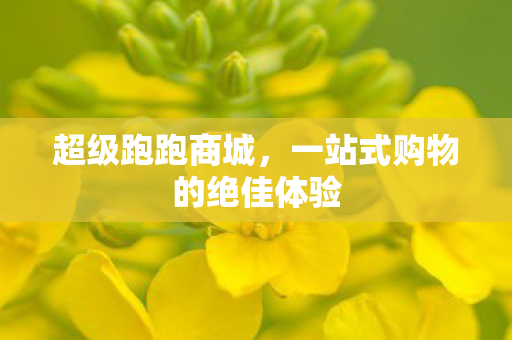 超级跑跑商城,一站式购物的绝佳体验 超级跑跑商城,一站式购物的绝佳体验