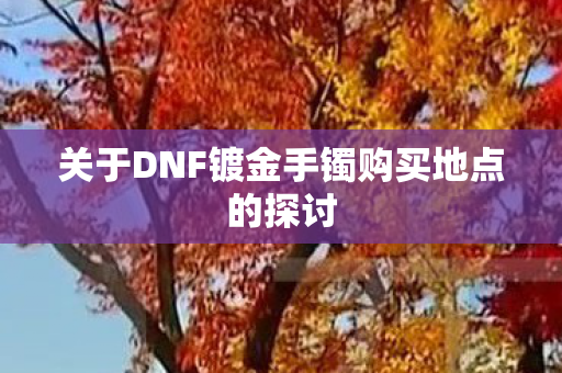 关于DNF镀金手镯购买地点的探讨 关于DNF镀金手镯购买地点的探讨
