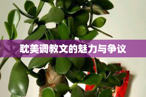 耽美调教文的魅力与争议 耽美调教文的魅力与争议