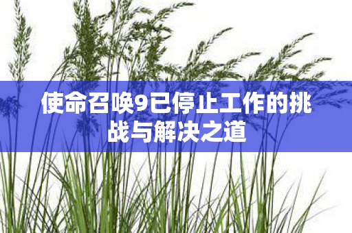 使命召唤9已停止工作的挑战与解决之道 使命召唤9已停止工作的挑战与解决之道
