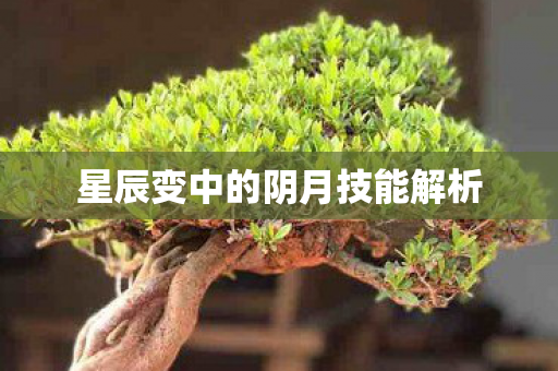 星辰变中的阴月技能解析 星辰变中的阴月技能解析