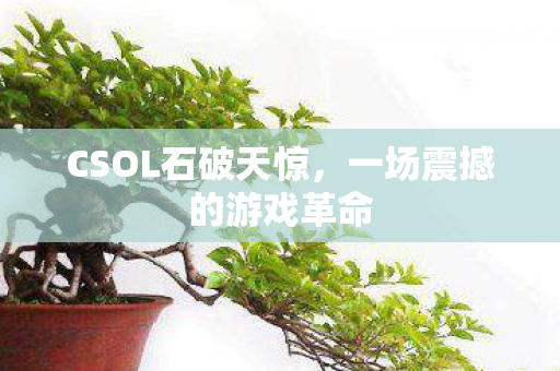 CSOL石破天惊,一场震撼的游戏革命 CSOL石破天惊,一场震撼的游戏革命
