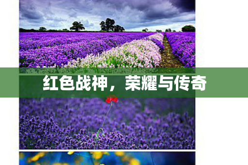 红色战神,荣耀与传奇 红色战神,荣耀与传奇