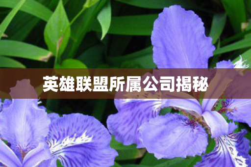 英雄联盟所属公司揭秘 英雄联盟所属公司揭秘