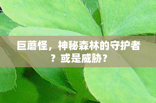 巨蘑怪,神秘森林的守护者?或是威胁? 巨蘑怪,神秘森林的守护者?或是威胁?
