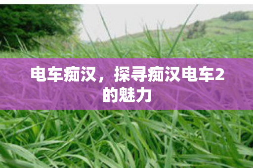 电车痴汉，探寻痴汉电车2的魅力