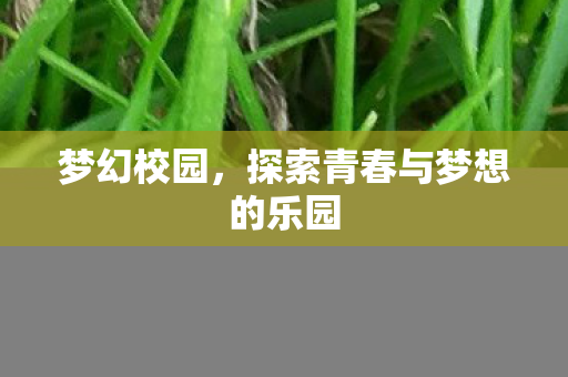 梦幻校园,探索青春与梦想的乐园 梦幻校园,探索青春与梦想的乐园