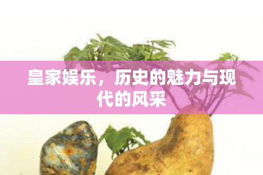 皇家娱乐,历史的魅力与现代的风采 皇家娱乐,历史的魅力与现代的风采