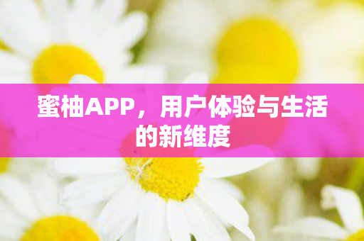 蜜柚APP,用户体验与生活的新维度 蜜柚APP,用户体验与生活的新维度