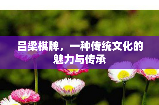 吕梁棋牌,一种传统文化的魅力与传承 吕梁棋牌,一种传统文化的魅力与传承