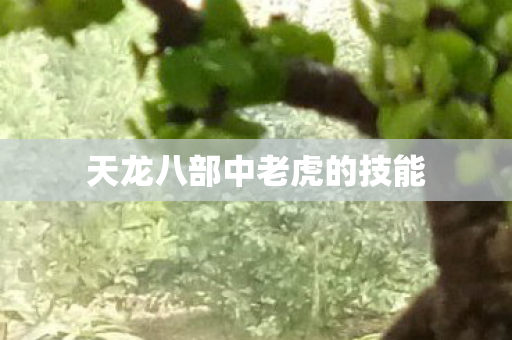 天龙八部中老虎的技能 天龙八部中老虎的技能
