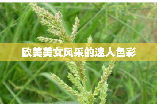 欧美美女风采的迷人色彩