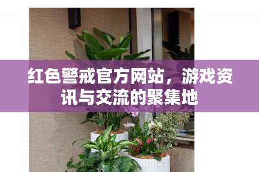 红色警戒官方网站,游戏资讯与交流的聚集地 红色警戒官方网站,游戏资讯与交流的聚集地