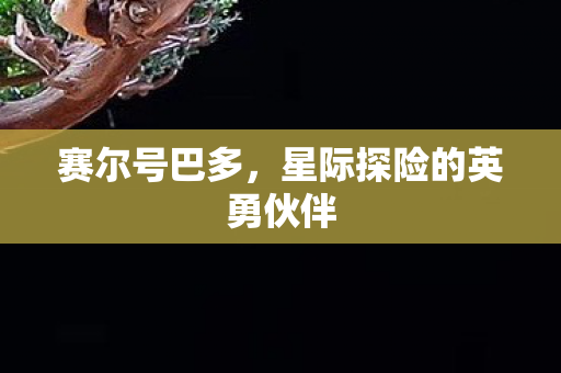 赛尔号巴多,星际探险的英勇伙伴 赛尔号巴多,星际探险的英勇伙伴