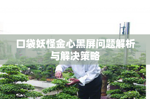 口袋妖怪金心黑屏问题解析与解决策略 口袋妖怪金心黑屏问题解析与解决策略