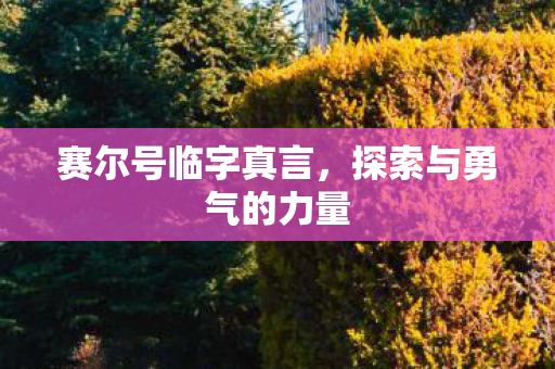 赛尔号临字真言,探索与勇气的力量 赛尔号临字真言,探索与勇气的力量