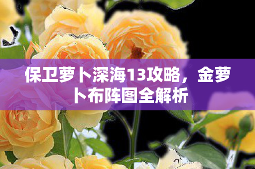 保卫萝卜深海13攻略，金萝卜布阵图全解析