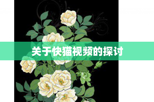 关于快猫视频的探讨