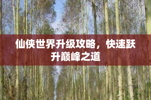 仙侠世界升级攻略,快速跃升巅峰之道 仙侠世界升级攻略,快速跃升巅峰之道