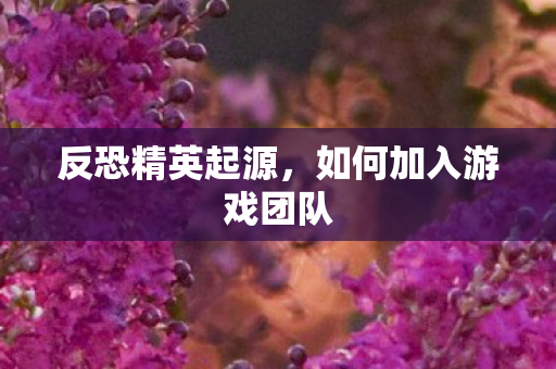 反恐精英起源，如何加入游戏团队