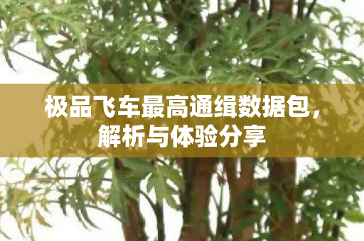 极品飞车最高通缉数据包,解析与体验分享 极品飞车最高通缉数据包,解析与体验分享