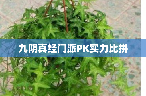 九阴真经门派PK实力比拼 九阴真经门派PK实力比拼