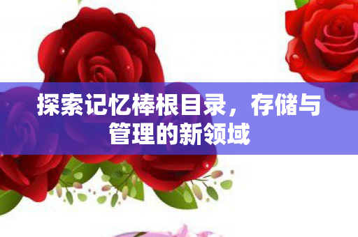探索记忆棒根目录,存储与管理的新领域 探索记忆棒根目录,存储与管理的新领域
