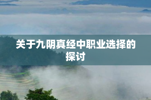 关于九阴真经中职业选择的探讨