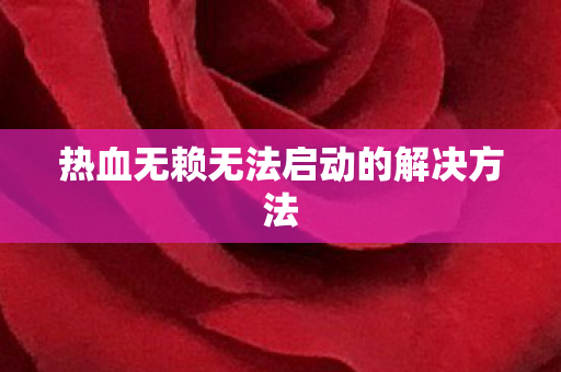 热血无赖无法启动的解决方法 热血无赖无法启动的解决方法