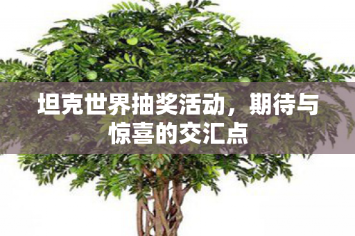 坦克世界抽奖活动,期待与惊喜的交汇点 坦克世界抽奖活动,期待与惊喜的交汇点