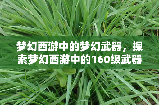 梦幻西游中的梦幻武器,探索梦幻西游中的160级武器 梦幻西游中的梦幻武器,探索梦幻西游中的160级武器