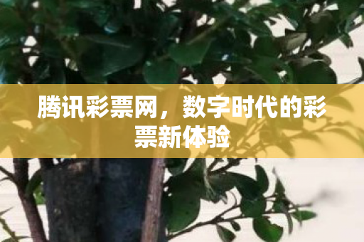 腾讯彩票网,数字时代的彩票新体验 腾讯彩票网,数字时代的彩票新体验