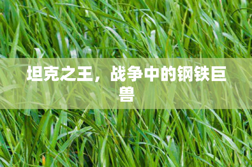 坦克之王，战争中的钢铁巨兽