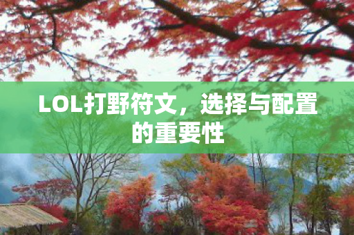LOL打野符文,选择与配置的重要性 LOL打野符文,选择与配置的重要性
