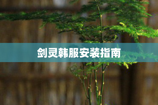 剑灵韩服安装指南