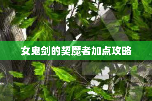 女鬼剑的契魔者加点攻略 女鬼剑的契魔者加点攻略