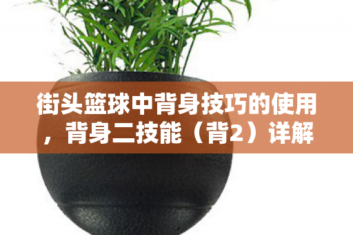 街头篮球中背身技巧的使用,背身二技能(背2)详解 街头篮球中背身技巧的使用,背身二技能(背2)详解