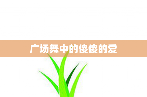 广场舞中的傻傻的爱 广场舞中的傻傻的爱