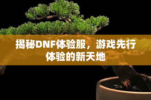 揭秘DNF体验服，游戏先行体验的新天地
