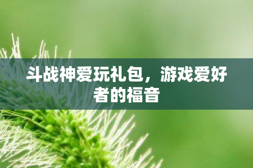 斗战神爱玩礼包，游戏爱好者的福音