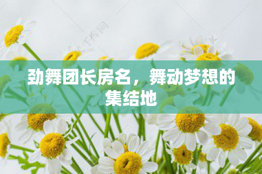 劲舞团长房名，舞动梦想的集结地