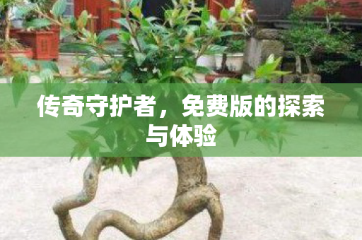 传奇守护者,免费版的探索与体验 传奇守护者,免费版的探索与体验