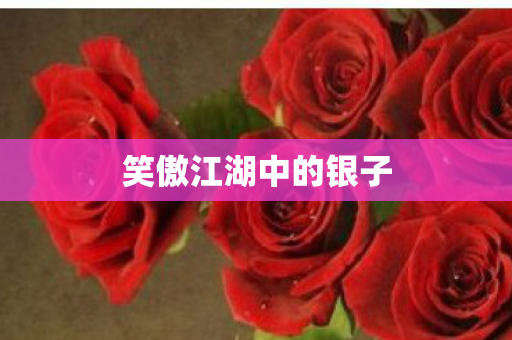 笑傲江湖中的银子