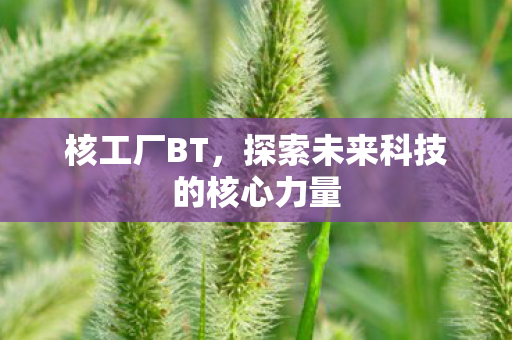 核工厂BT，探索未来科技的核心力量