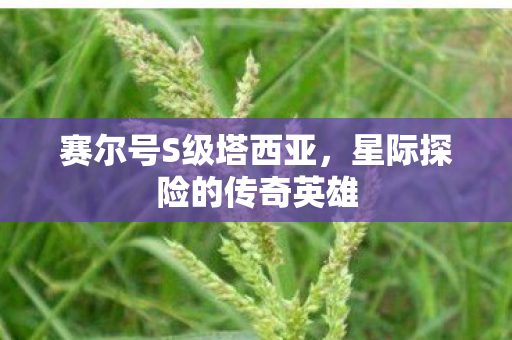 赛尔号S级塔西亚，星际探险的传奇英雄