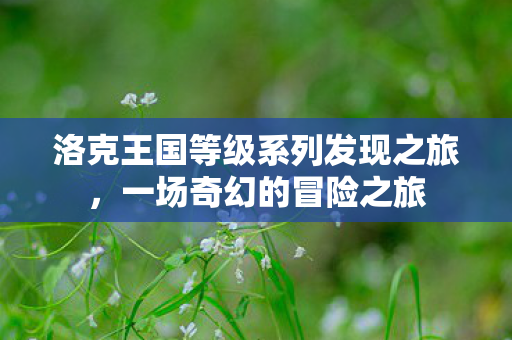 洛克王国等级系列发现之旅，一场奇幻的冒险之旅