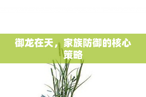 御龙在天,家族防御的核心策略 御龙在天,家族防御的核心策略