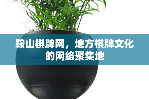 鞍山棋牌网,地方棋牌文化的网络聚集地 鞍山棋牌网,地方棋牌文化的网络聚集地